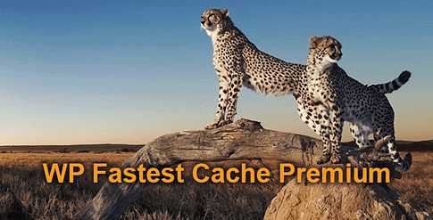 WordPress缓存插件WP Fastest Cache Premium破解版下载v1.7.0